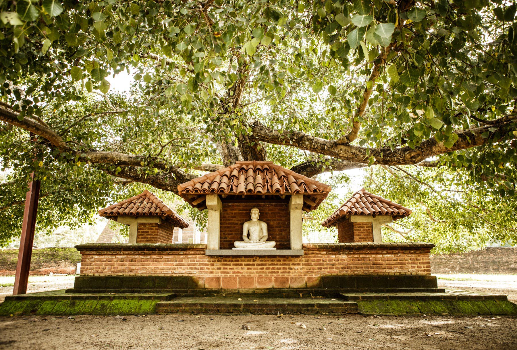 Thaulle-Resort-Sri-Lanka-Activites-Spirituality-Buddha-Natur