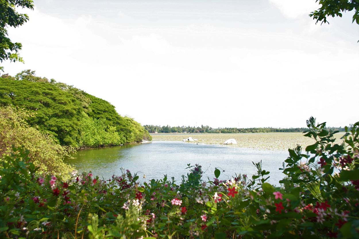 Thaulle-Resort-Sri-Lanka-Wir-schonen-die-Umwelt-und-Klima-16