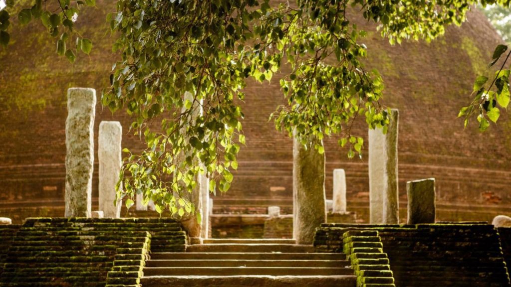 Alte Stufen mit Steinsäulen an einer buddhistischen Stätte, Sri Lanka