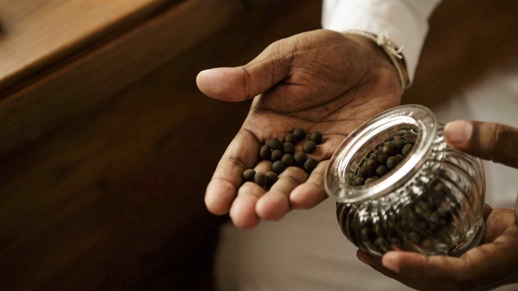 Dr. Upul, ärztlicher Leiter im Thaulle Resort, begleitet eine Ayurveda-Kur