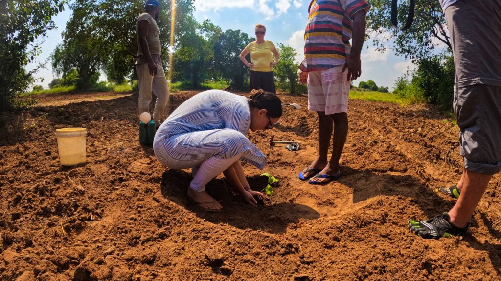 Eigener Anbau von frischen Zutaten auf der Bio-Farm des Thaulle Resorts
