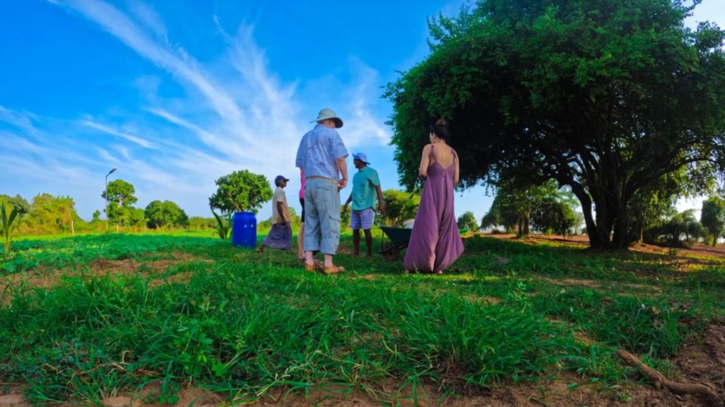 Gäste spazieren über die Farmwiese zwischen Bäumen auf der Bio Eco Farm im Thaulle Resort