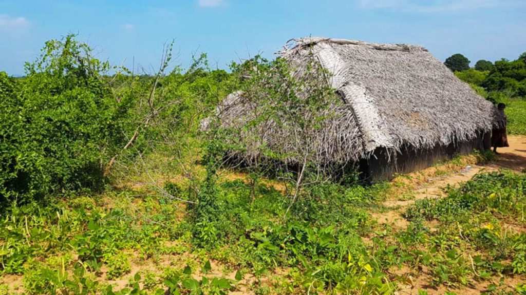 Gartenbeete mit saisonalem Gemüse im Selbstversorger-Bereich des Resorts