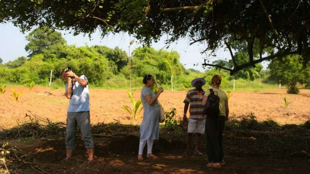 Gemüsebeete im Selbstversorger-Garten für die Ayurveda-Küche des Resorts