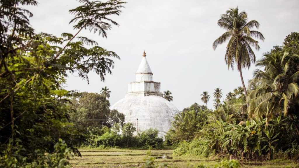 Große weiße Stupa in grüner Landschaft mit Palmen, Sri Lanka