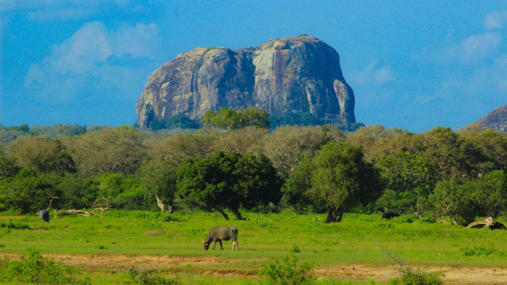 Großes Felsmassiv über grüner Ebene nahe Yala, Sri Lanka