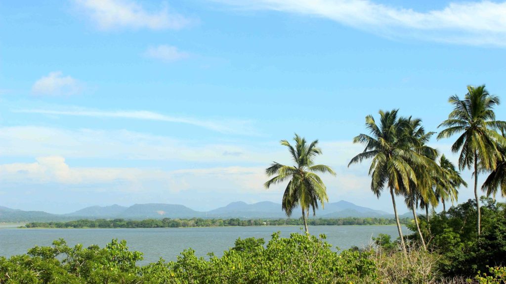 Junior Suite im Thaulle Ayurveda Resort in Sri Lanka mit Wohnbereich