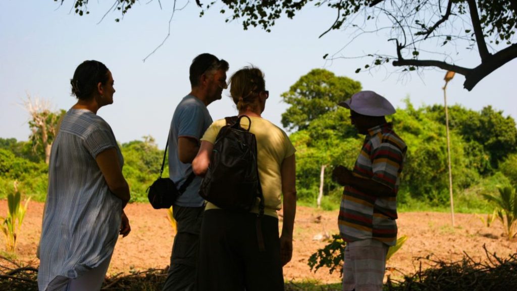 Nachhaltiger Nutzgarten im Thaulle Resort für Küche und Kuralltag