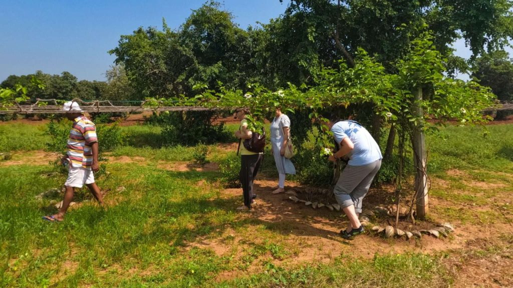Nachhaltiges Ayurveda-Hotel Thaulle mit Bio-Garten und naturverbundener Umgebung