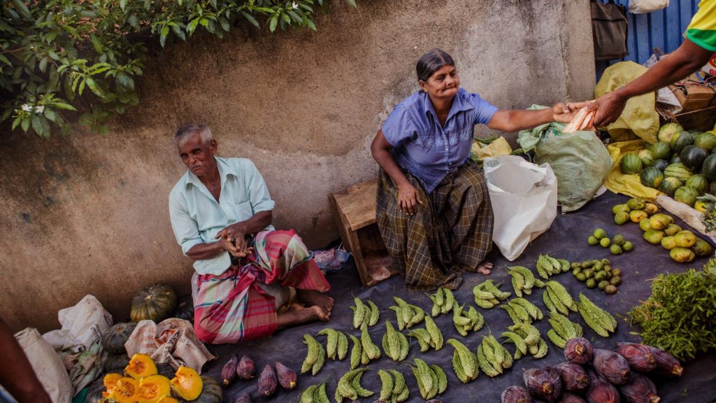 Regionaler Markt und Zutaten aus der Umgebung - Thaulle Resort
