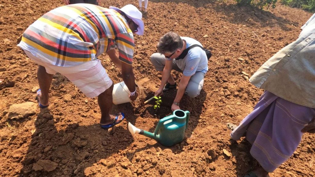 Thaulle Resort in Sri Lanka mit nachhaltigem Anbau und regionalen Zutaten