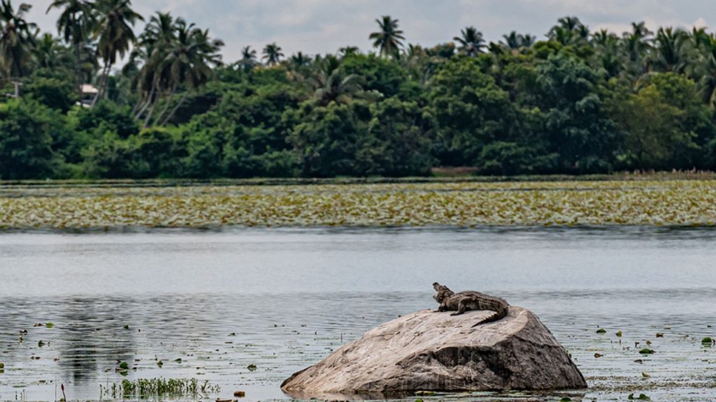 Thaulle am Yoda Lake mit Natur, Ruhe und weitem Wasserblick