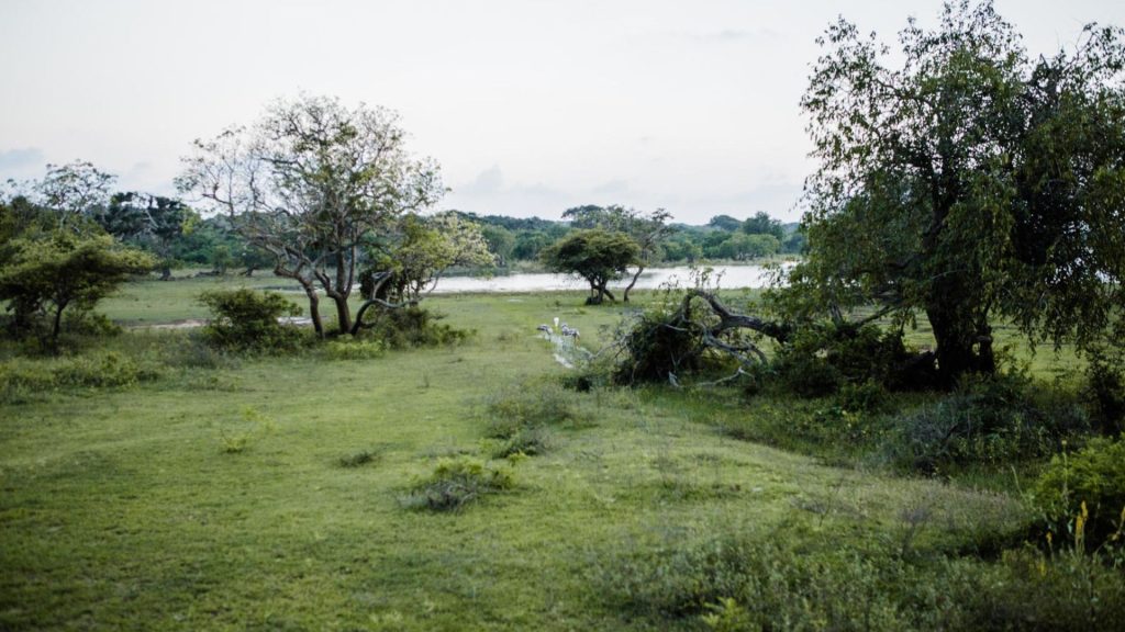 Weite Landschaft am Wasser in der Yala-Region, Sri Lanka