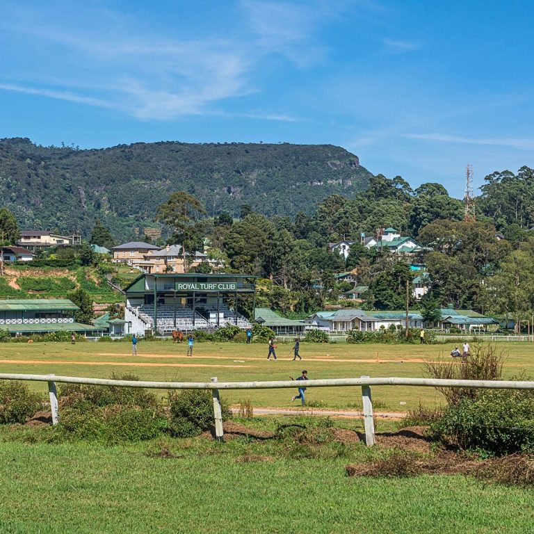 Nuwara Eliya - Teeplantage in Sri Lanka