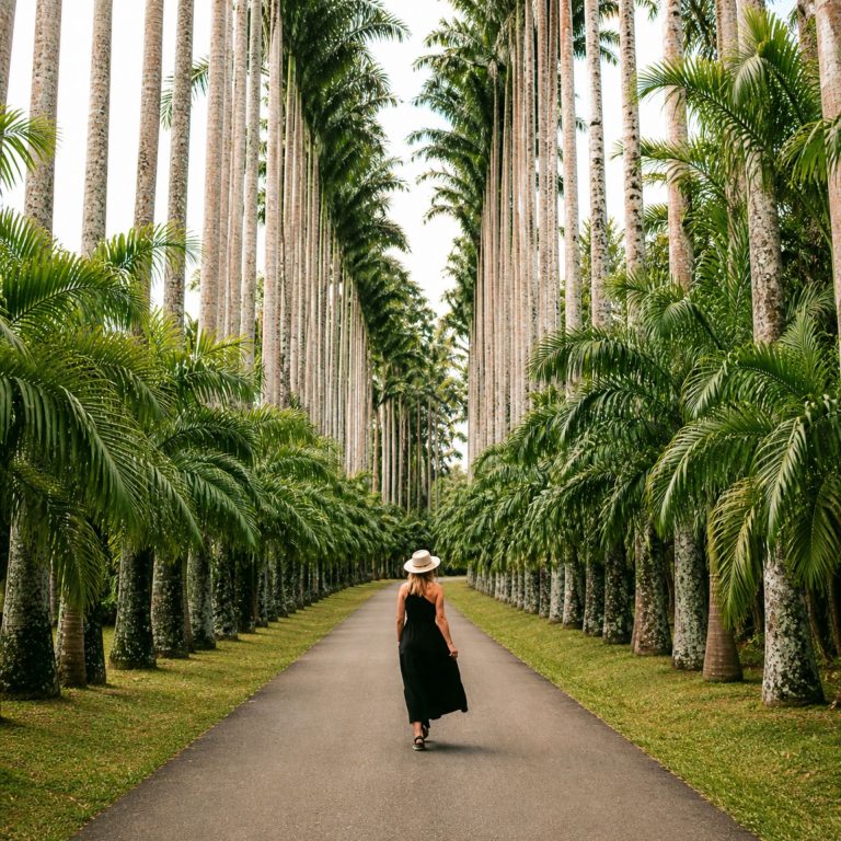 Frau spaziert durch eine tropische Palmenallee im botanischen Garten von Sri Lanka