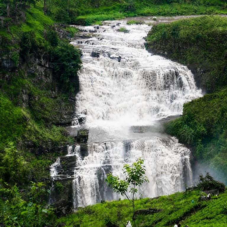 Großer Wasserfall inmitten grüner Teeplantagen und Hügel im Hochland von Sri Lanka
