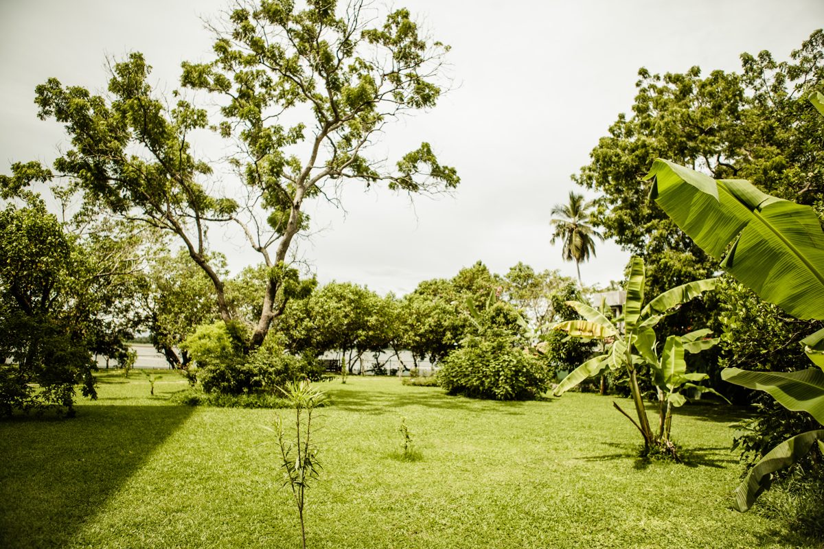 Permakultur-Garten